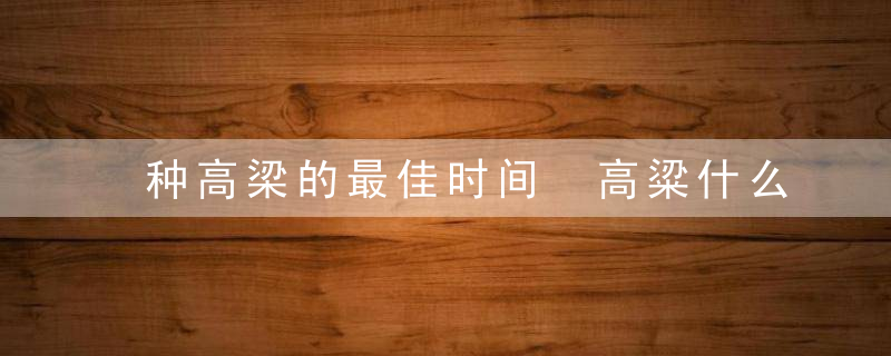 种高梁的最佳时间 高粱什么时候播种最好